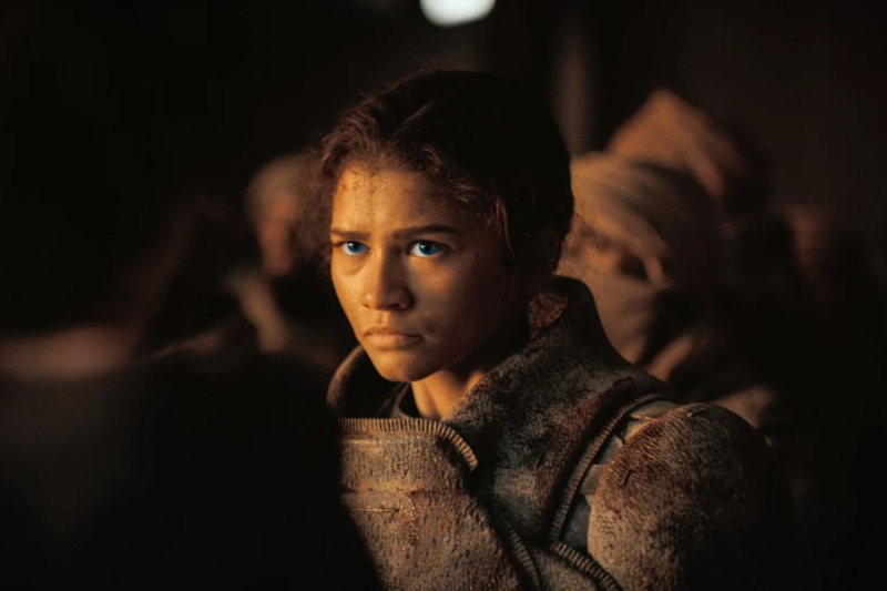 4 cult films and series with Zendaya that you absolutely must see
