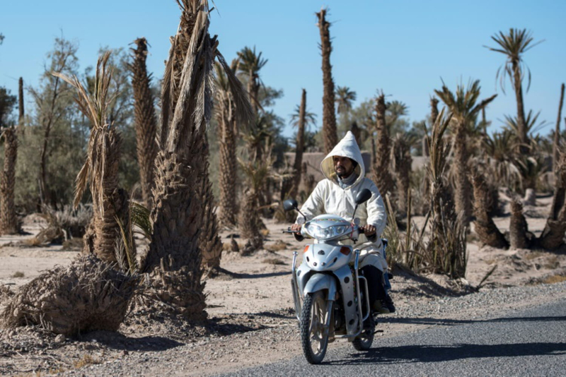 New heat wave in Morocco, 21 deaths in 24 hours