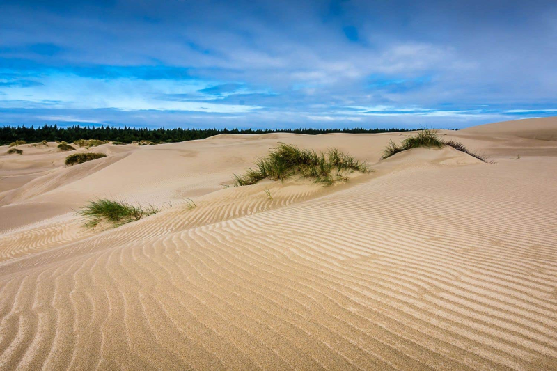 The Earth needs its dunes. Here&#39;s why.